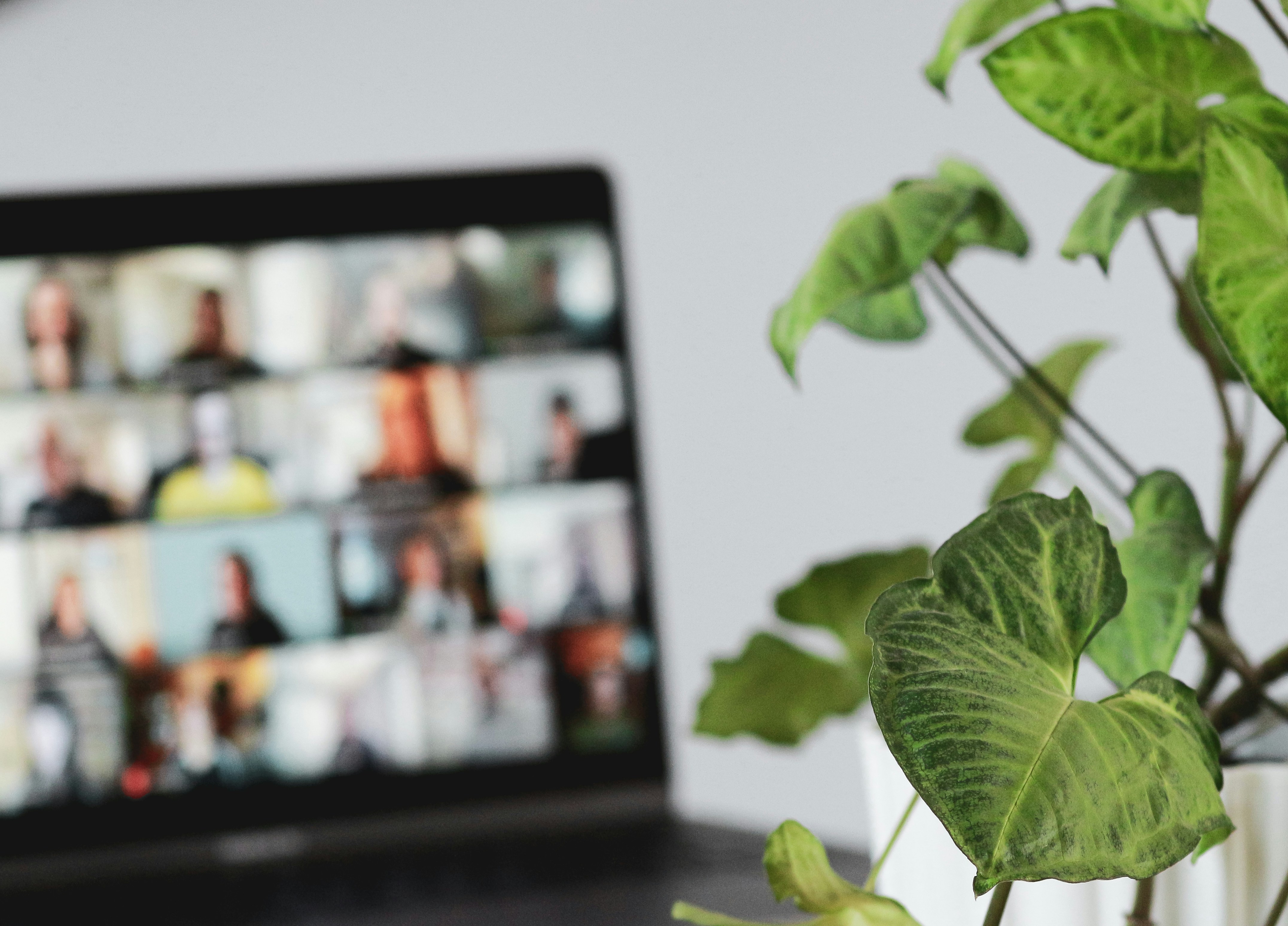 The Power of Subject Knowledge